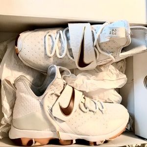 Nike Zoom Lebron James